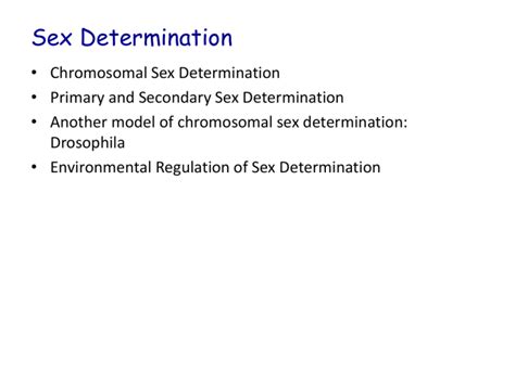 Powerpoint L15 Sex Determination