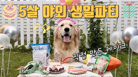 🐾캐나다에서 5살 강아지 야외 생일파티 해주기 ️ 강아지 생일 케이크 만들고 파티 준비하기vlog│헬로음이유니 Youtube