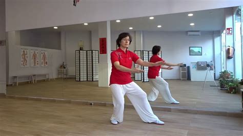 Taichi Yang Simplificado De 8 Movimientos Ejercicios De Tai Chi