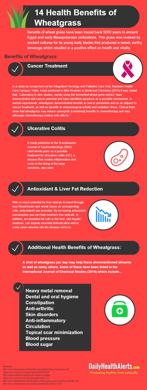 Health Benefits of Wheatgrass | Daily Health Alerts