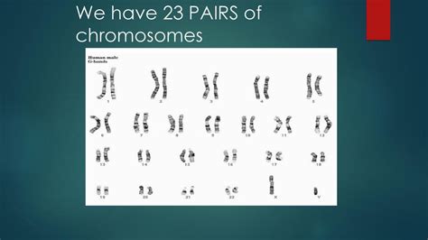 Genetics Ppt Download