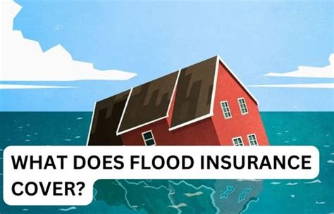 Basics Of Flood Insurance What You Need To Know Insurigo Inc