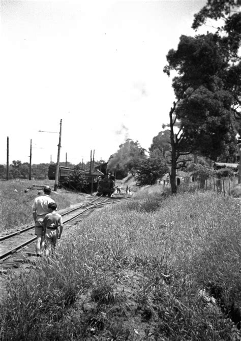 Puffing Billy Coal Stage At Upper Ferntree Gully Decembe Flickr