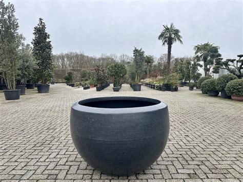 Luxury Bowl Plantenbak Zwart 132 Cm Palmexpert Nl