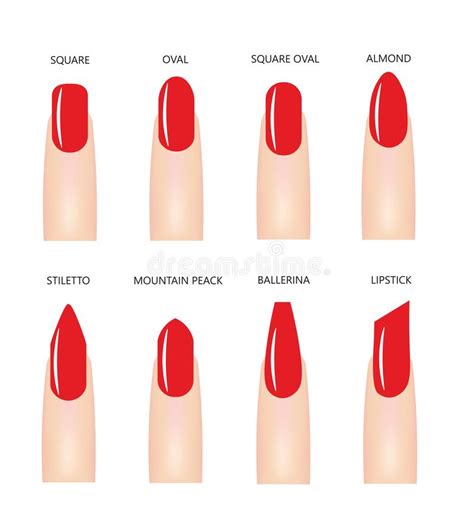 Nail Shapes Chart And Types Of Nail Shapes 2021 — The 52 Off