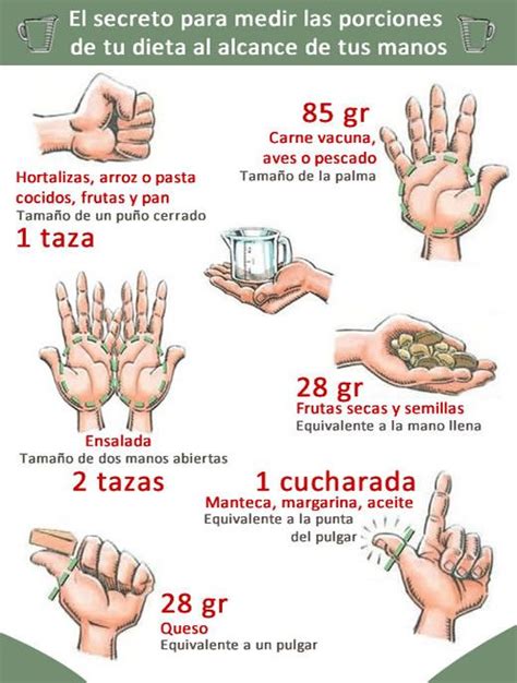 Usar las manos para medir las porciones de alimentos Infografías y