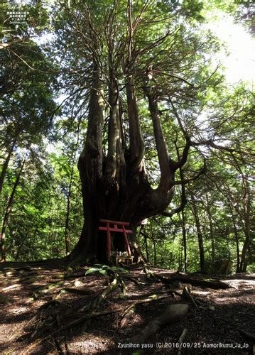 Paarl Arboretum Check List · Inaturalist Nz