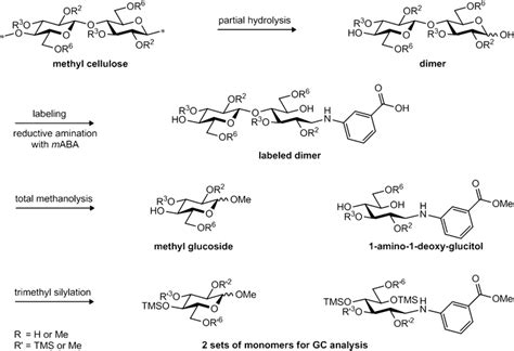 Schematic Of The Kinetic Study Of Hydrolysis Of Cellulose Ethers Shown