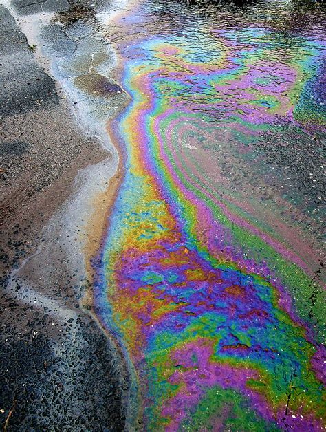 Oil Slick On Water Photograph By Panoramic Images Fine Art America