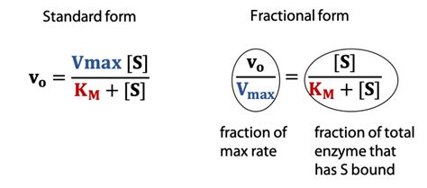 Enzyme Kinetics The Michaelis Menten Equation Bioc