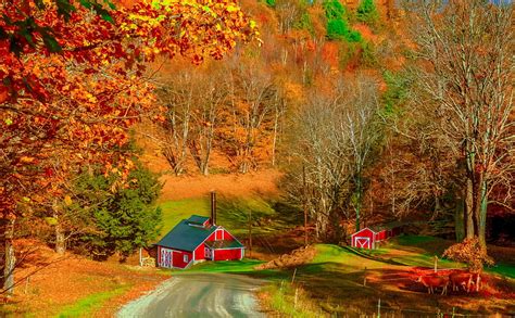 A Vermont Farm In Autumn Vermont Hills Fall Farm Beautiful Cows