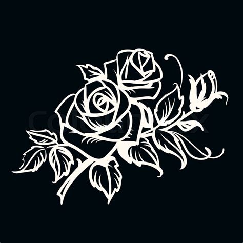 Roses White Outline Drawing On Black Stock Vector Colourbox