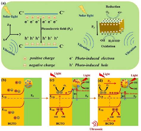 Figure 9 From Piezoelectric Effect Enhanced Photocatalytic Activity Of