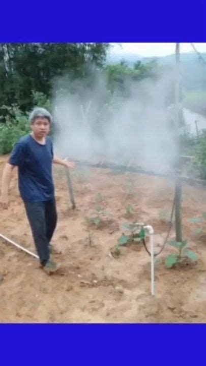 Nozzle Water Mist Sprinkler Irigasi Penyiram 1 2 Inch Kabut Embun JM8