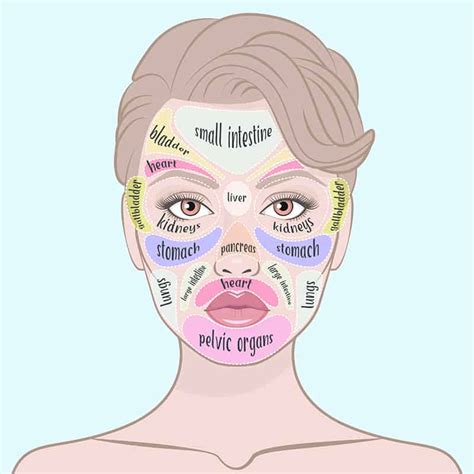 Acne Face Map What Your Acne Is Telling You About Your Health