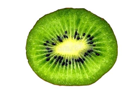 Kiwi Cut In Half Stock Photo Image Of Taste Kiwi Seed 14675068