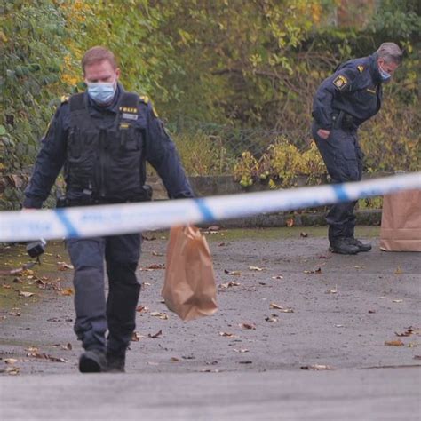 Skola tvingas till väktare och staket efter hot SVT Nyheter