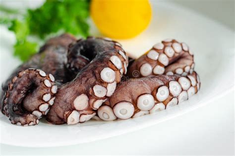 Pulpo Crudo Listo Para Cocinar Imagen De Archivo Imagen De Marina