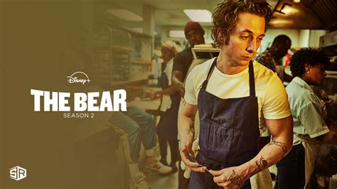 Watch The Bear Season 2 in USA on Disney Plus