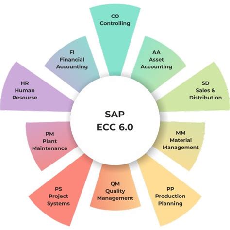 Unveiling Sap S Hana Vs Sap Ecc Phalke Infotech