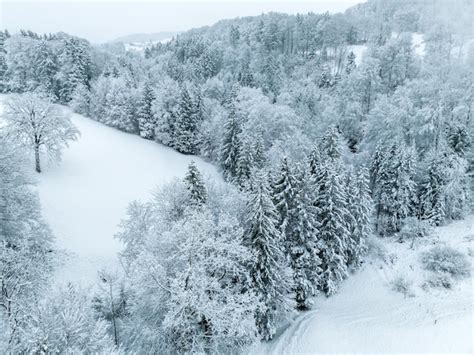 Premium Photo | Aerial view of snow covered forest in winter in switzerland, europe. rural ...