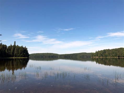 Harry Lake Campsite 1 In Algonquin Park Campsite Report