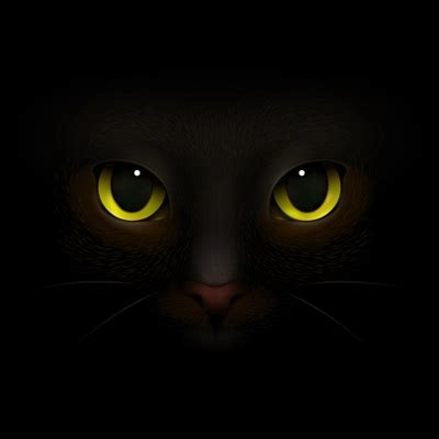 Cat Emotions Eyes Realistic Set Isolated Vector Illustration 35830 ...