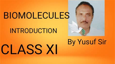 BIOMOLECULES INTRODUCTION YouTube