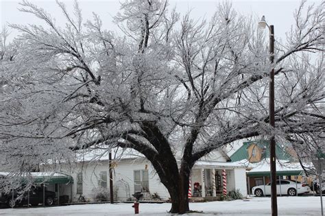 Hobart, 4 Photos, Nature Art, Oklahoma, Tree Trunk, Towns, Magical ...