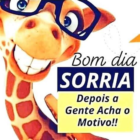 37 Frases Engraçadas De Bom Dia Para Deixar O Seu Dia Mais Bonito