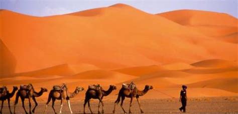 10 Facts about Desert Climate | Fact File