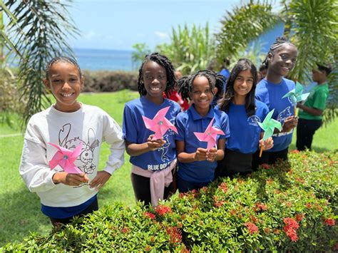 St. Kitts International / SKI Academy | Basseterre