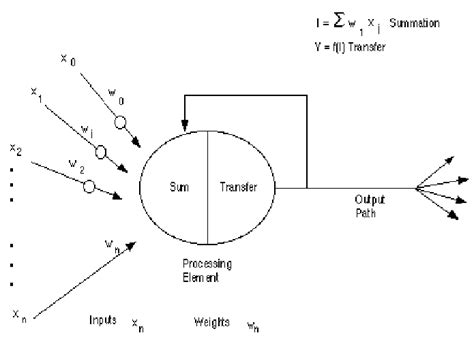 Artificial Neuron [2] [3] | Download Scientific Diagram