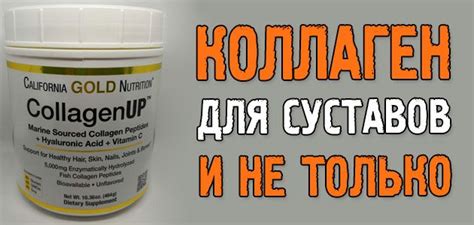 Коллаген для суставов: лучшая добавка для связок, сухожилий и кожи ...