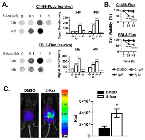 Cancers Free Full Text Azacytidine Mediated Modulation Of The