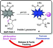 A Naphthalimide Aminal Based PH Sensitive Fluorescent Donor For