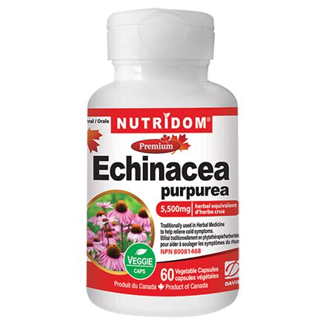 Nutridom Echinacea 60 Vcaps