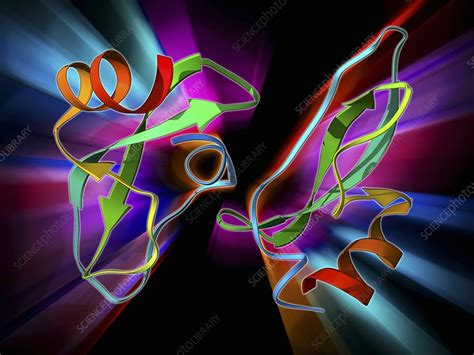 Amyloid precursor protein molecule - Stock Image - F009/5880 - Science ...