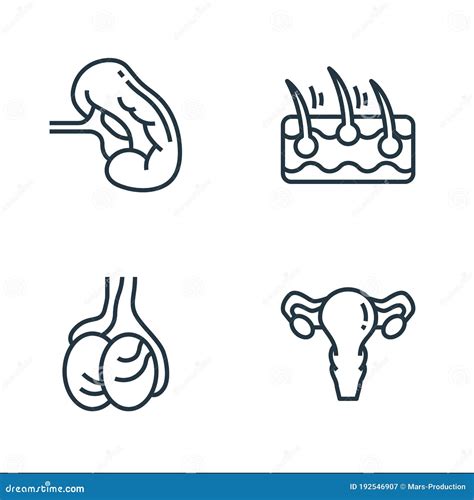 Human Organs Line Icons Linear Set Stock Vector Illustration Of