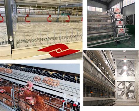 Оборудование для кур несушек цена - livi chicken cages