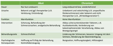 6 VL Karteikarten Quizlet