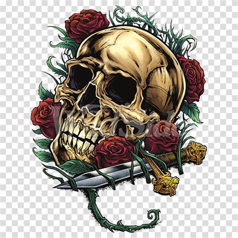 Human Skull Drawing Rose Calvaria Bone Calavera Skeleton Floral