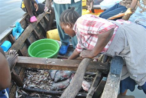 Fish Traders In Kenyas Lakeside City Of Kisumu Enjoy An Economic Boom