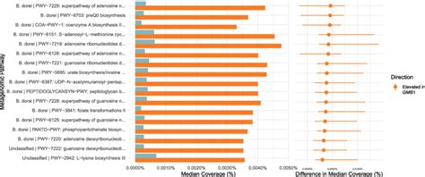 Differentially Abundant Metacyc Pathways Humann2 Derived Genes Were Download Scientific