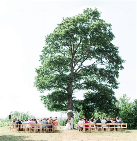 Outdoor Wedding Ceremony Under A Tree