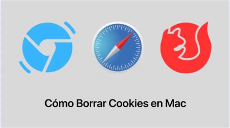 C Mo Borrar Cookies En Mac En Safari Google Chrome Firefox