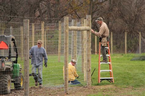 Deer fencing installed at Freeville farm | Cornell Horticulture