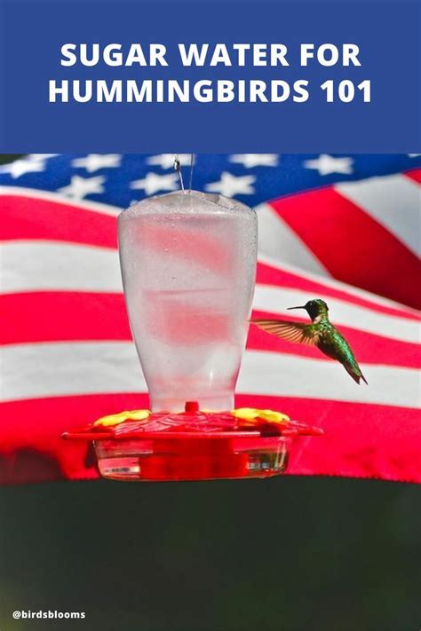 Here S How To Make The Perfect Sugar Water For Hummingbirds Sugar