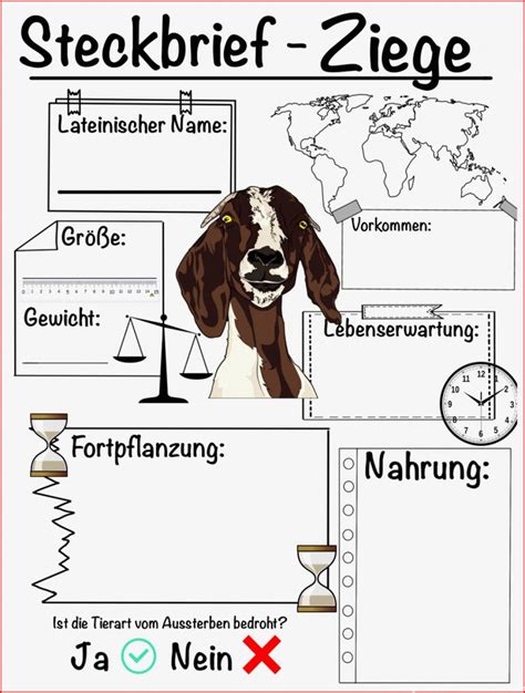 Biologie Kennzeichen Des Lebens Arbeitsblatt Konzepte Nur F R Sie