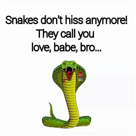 Funny Snake Quotes - ShortQuotes.cc